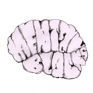 MENATL-BLOCKS-BRAIN-ONLY-1024x1024